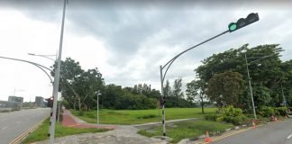 Marina-Gardens-Lane-View