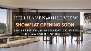 HillHaven-Showflat-Viewing